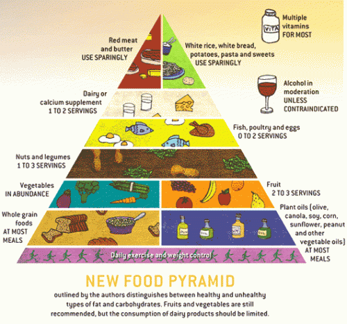 new-food-guide-pyramid